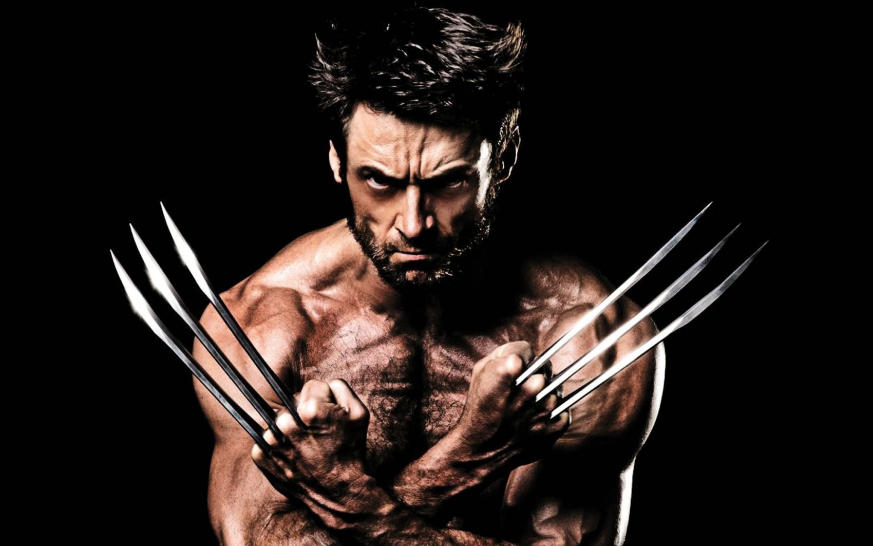 wolverine, 