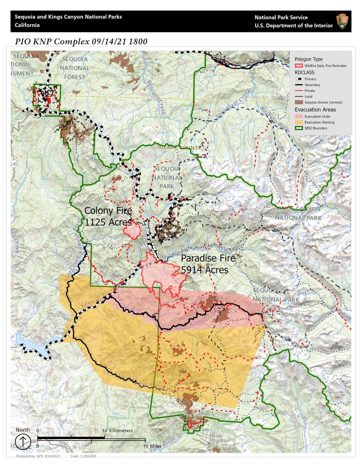 sequoia national park, 