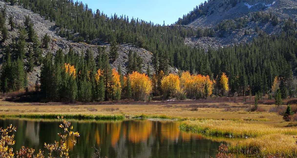 grass lake, Inyo national forest, California