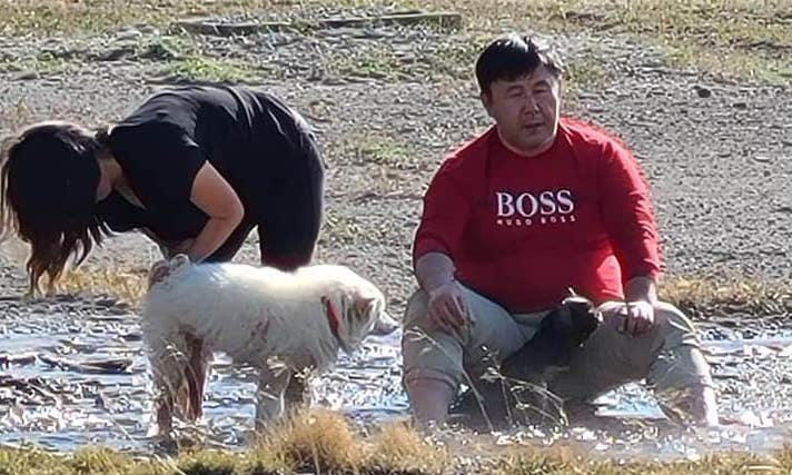 thermal waters, washing dogs, Yellowstone,