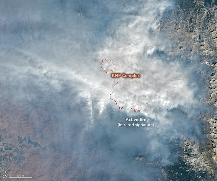 sequoia, wildfire, knp complex