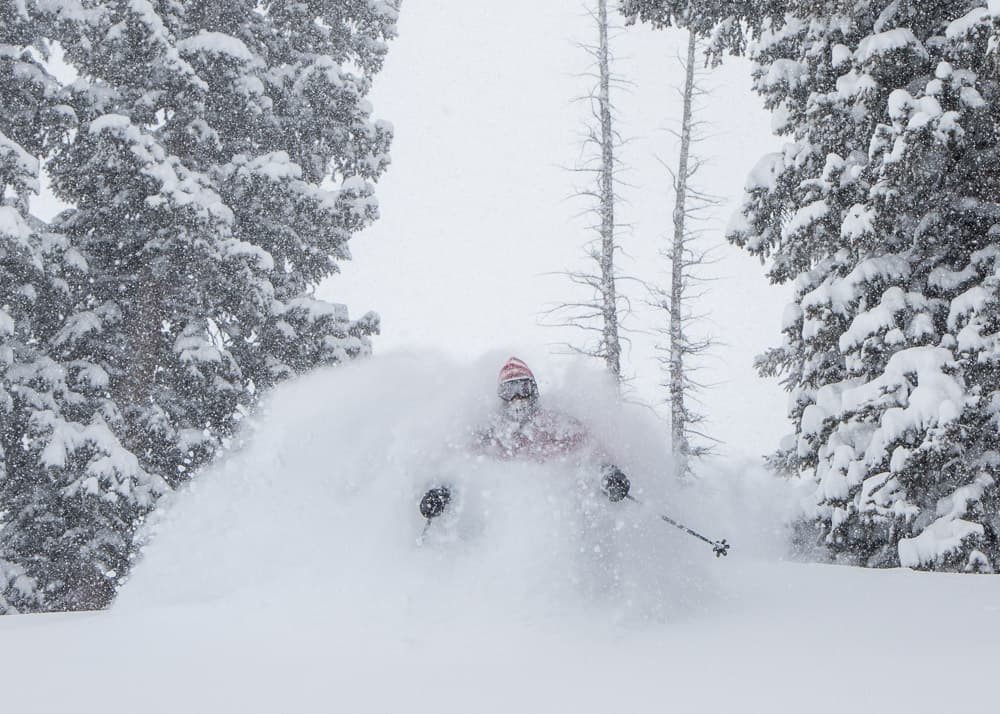 Dave van dame, alta ski area, the farmer, Utah, 