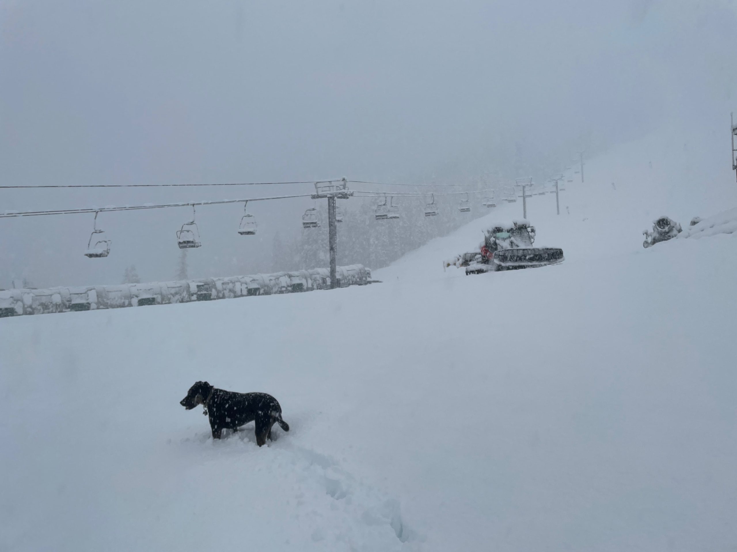 palisades tahoe, california, opening early, 