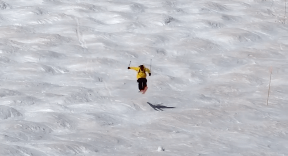 candide thovex, moguls,