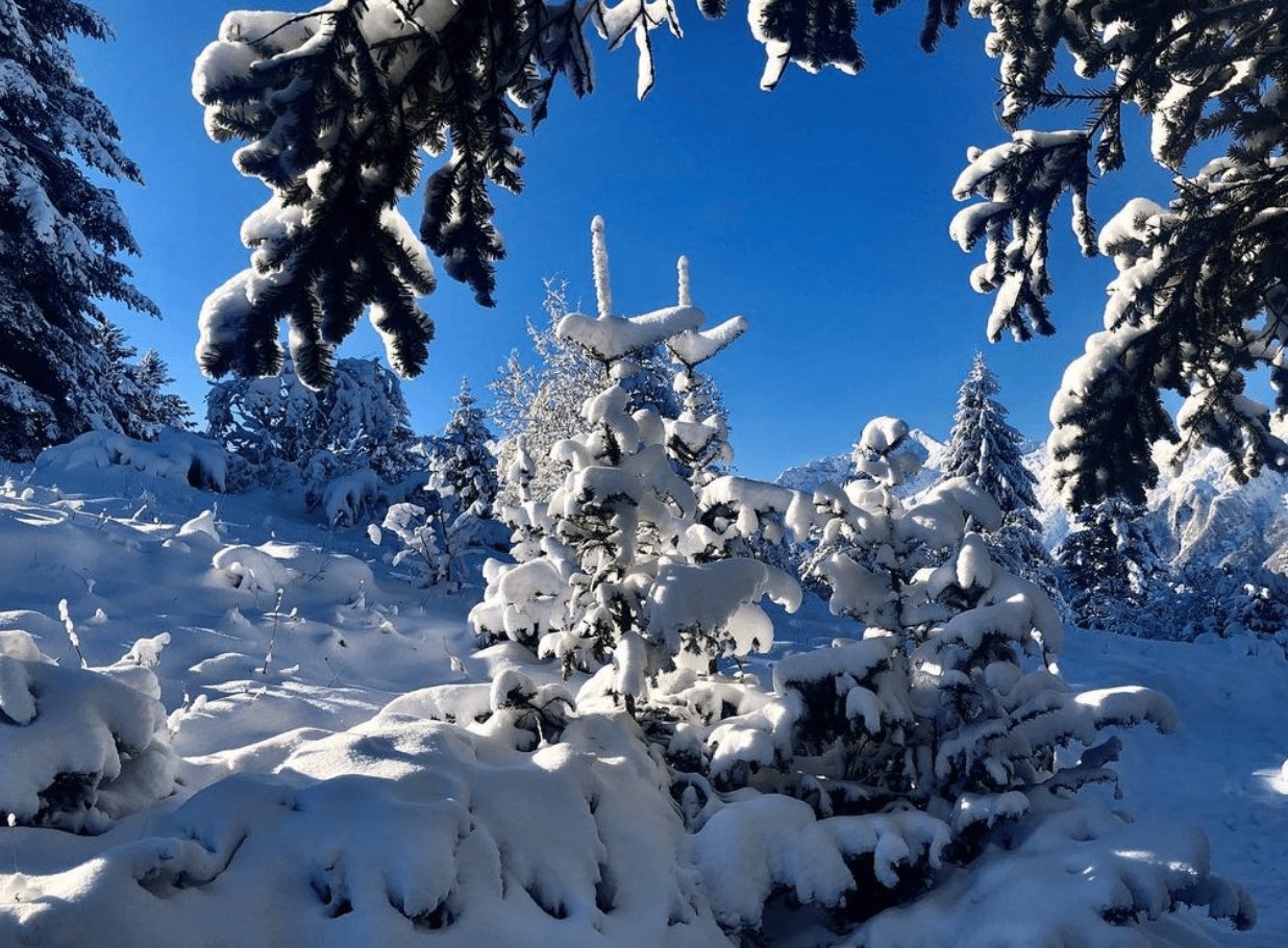 snowstorm in Guzet