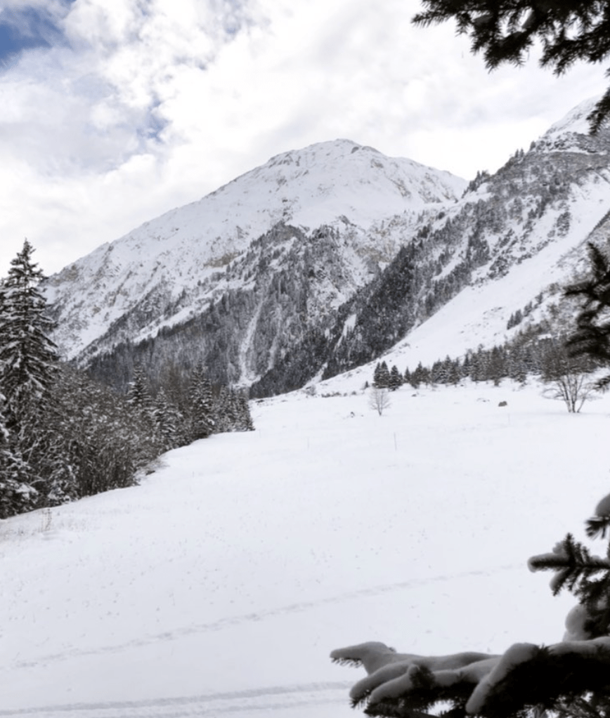 snow covered pralognan la vanoise after snowstorm