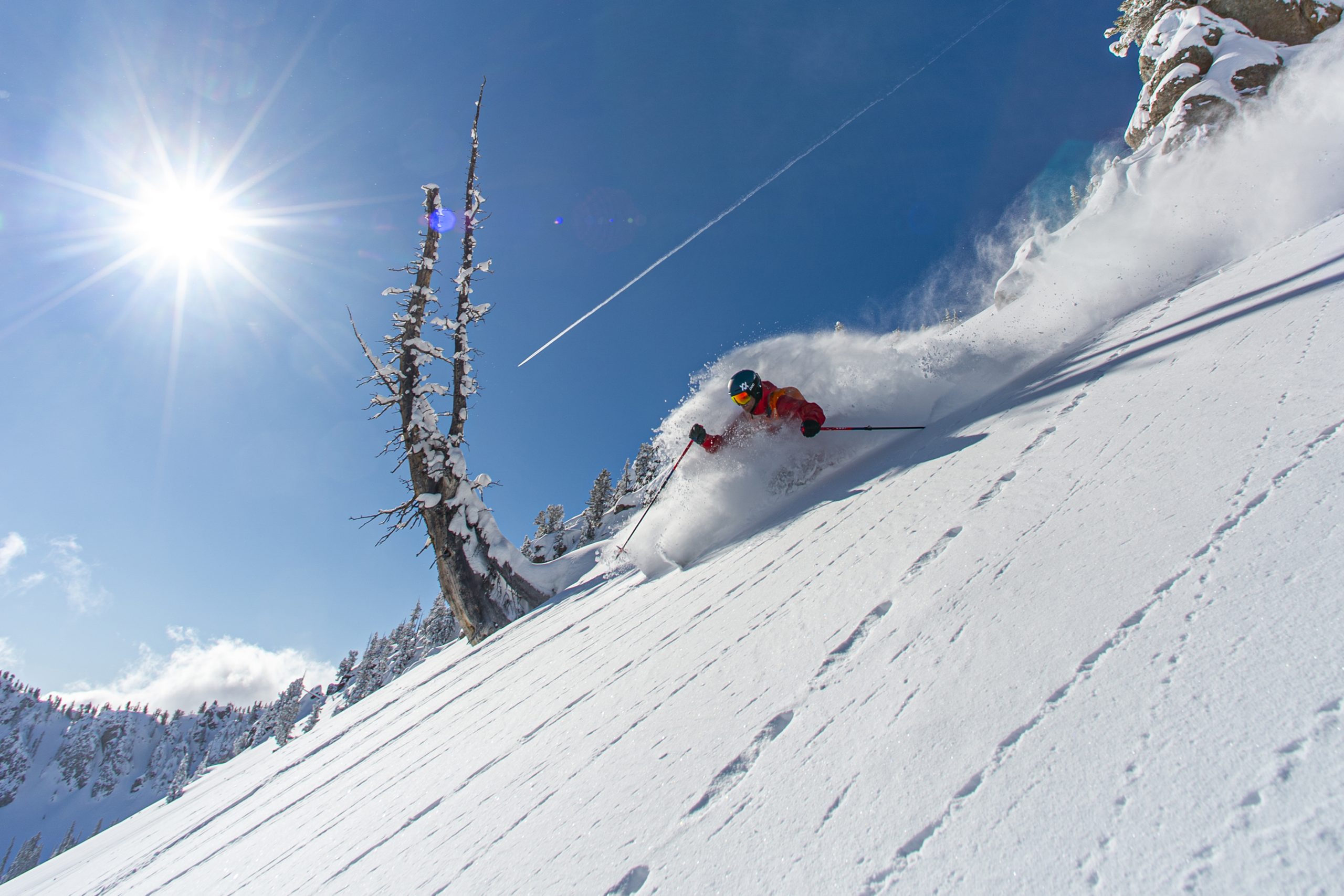 powder photography