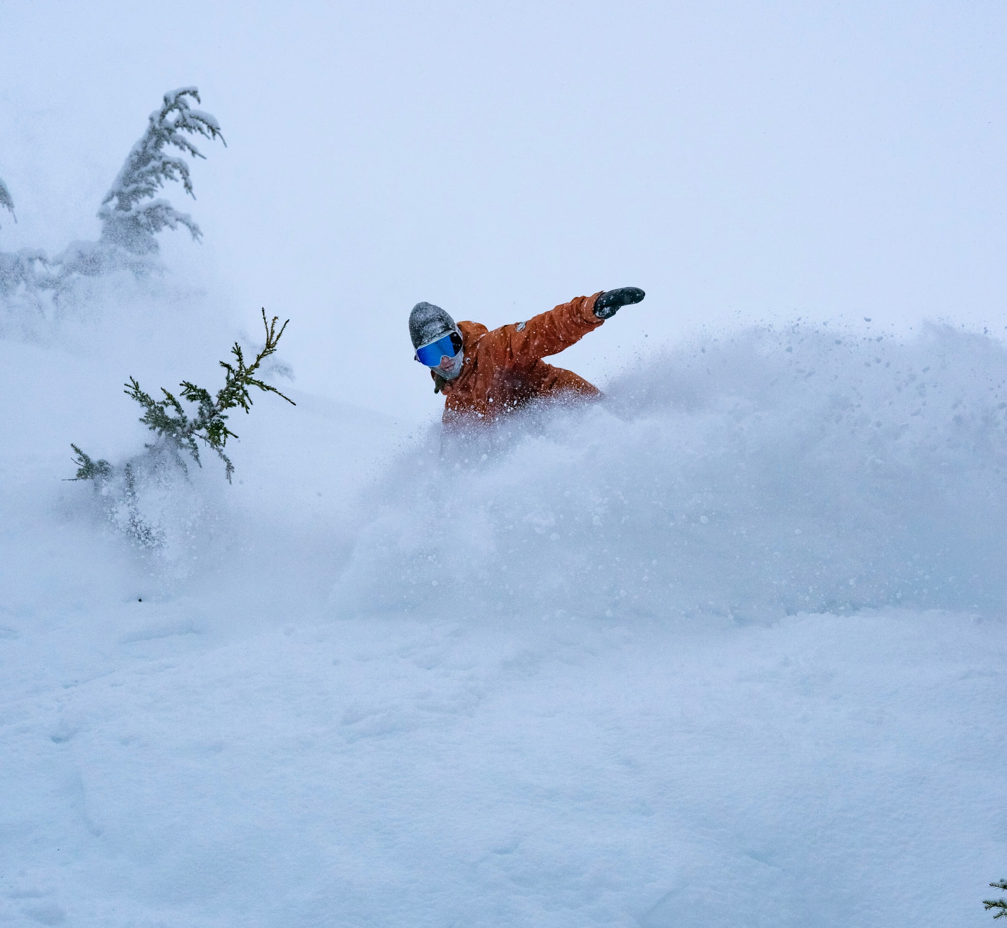 snowboarder in deep powder at Alyeska Resort alaska girdwood