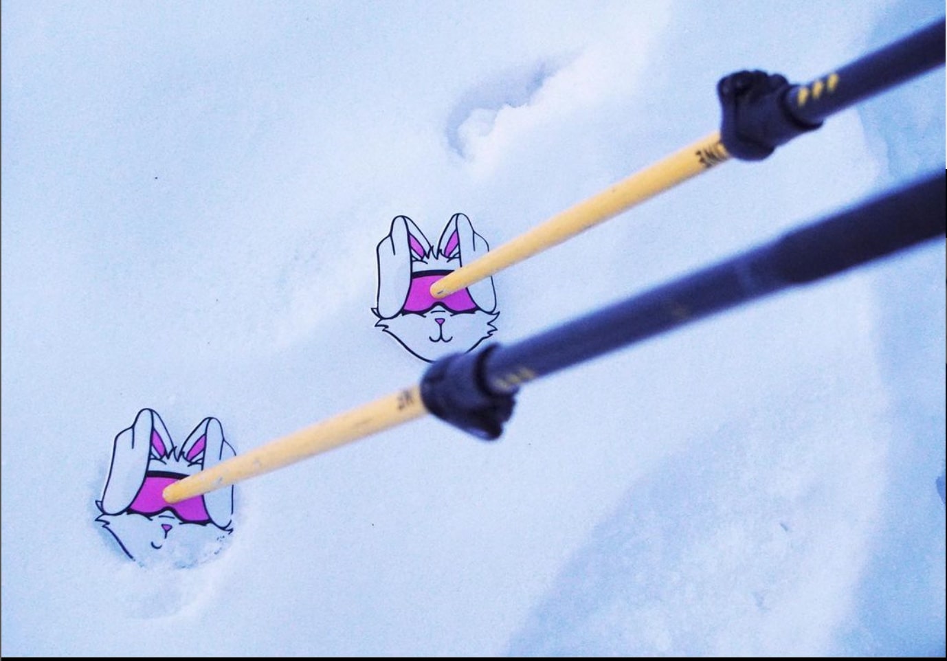 Powder Bunnies in Action