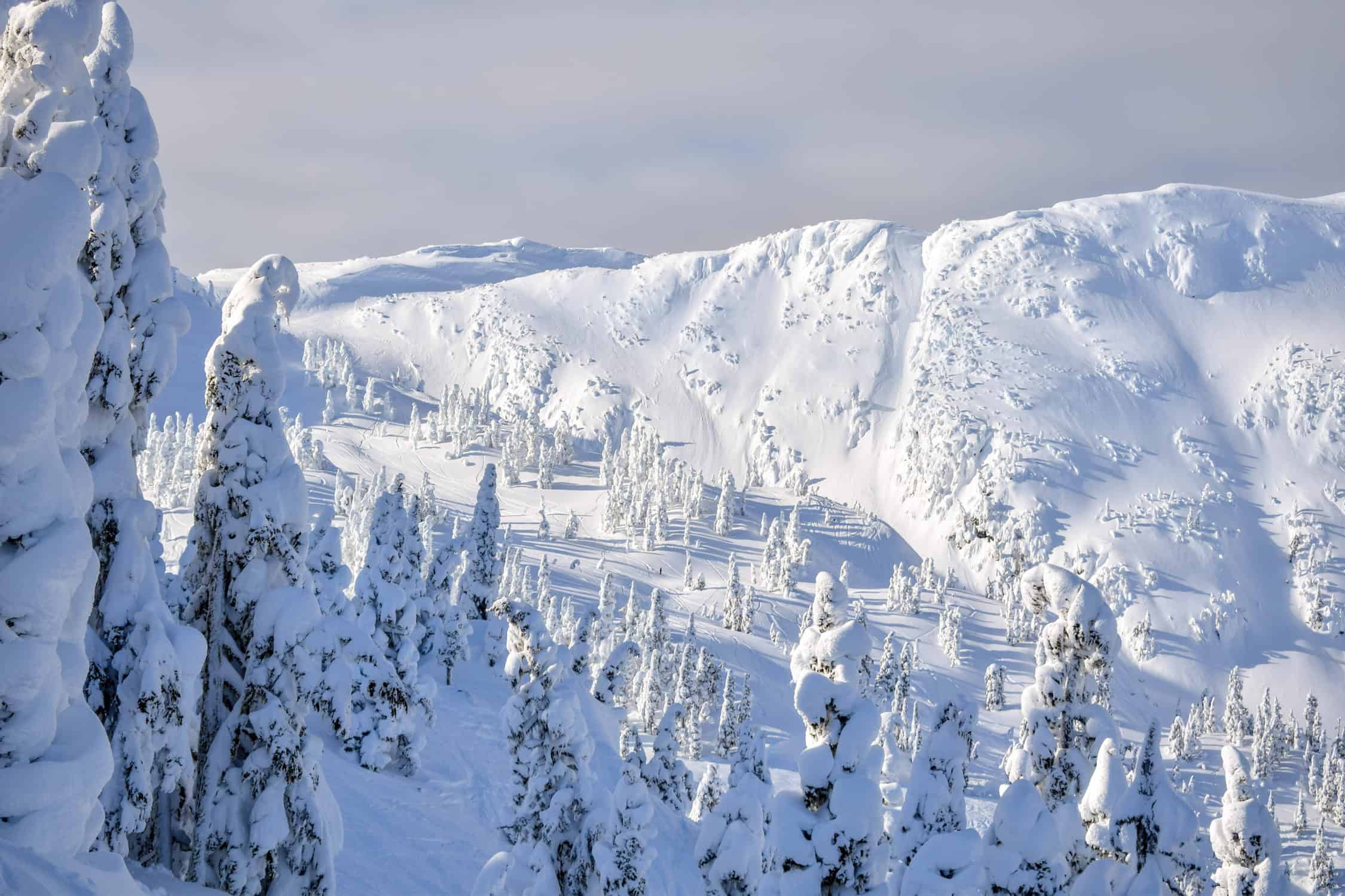 powder skiing at eaglecrest ski area