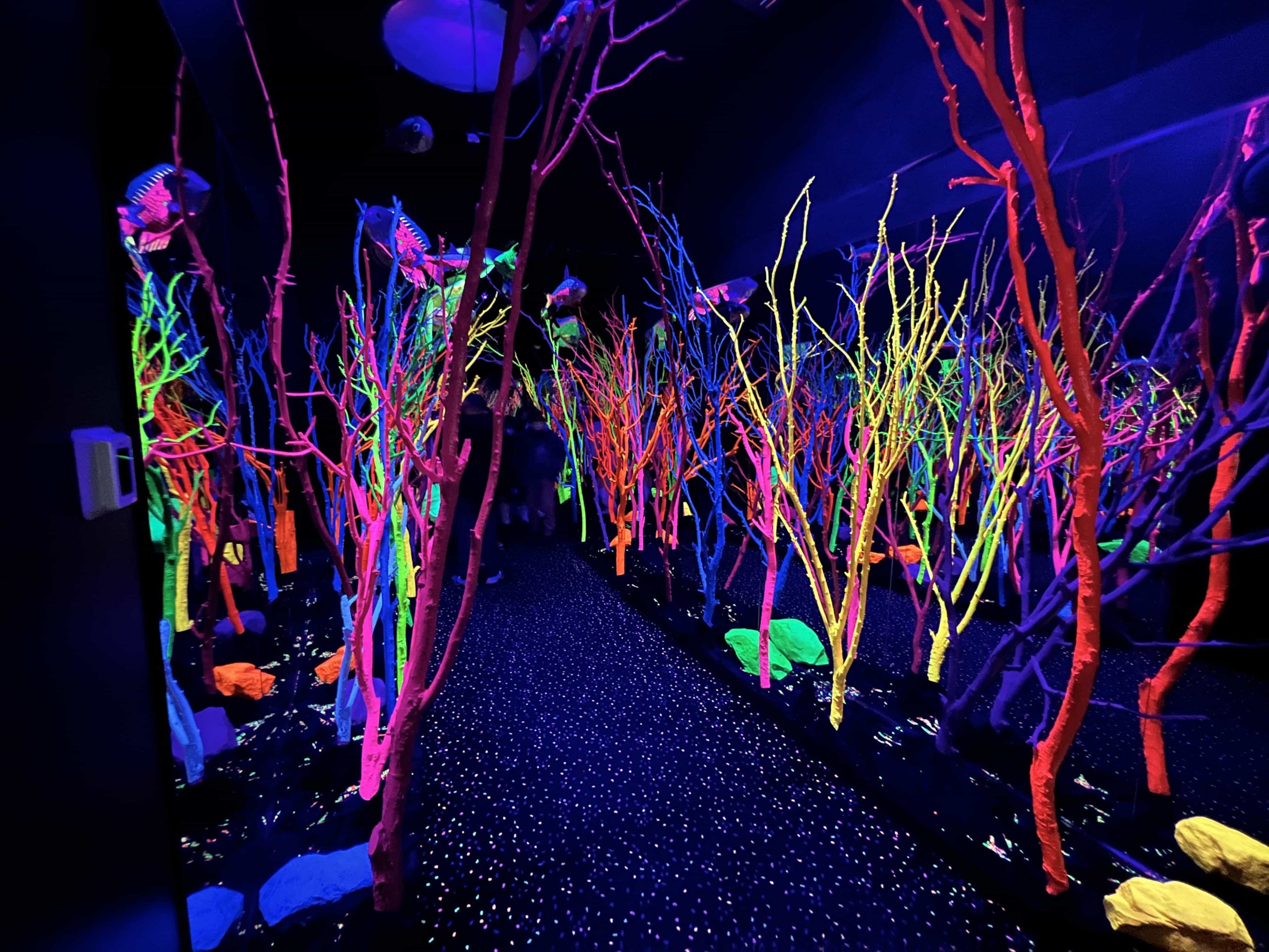 meow wolf, Santa Fe, new mexico