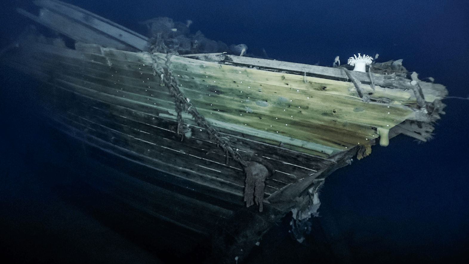 Endurance Shipwreck