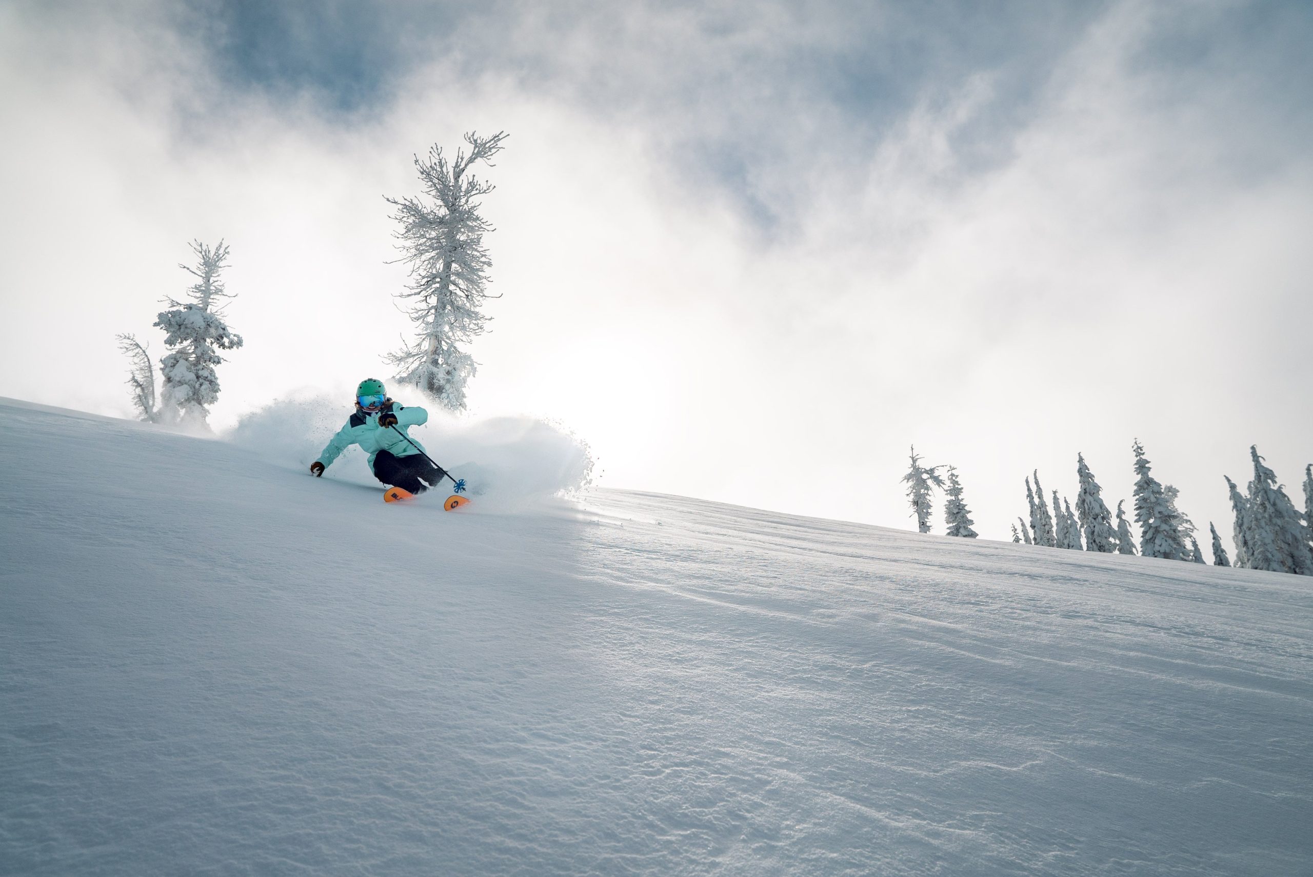 Sugar Bowl Powder