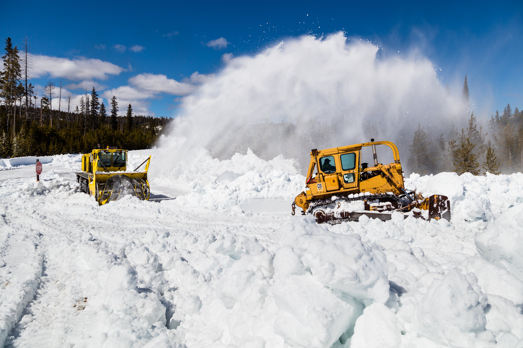 yellowstone,