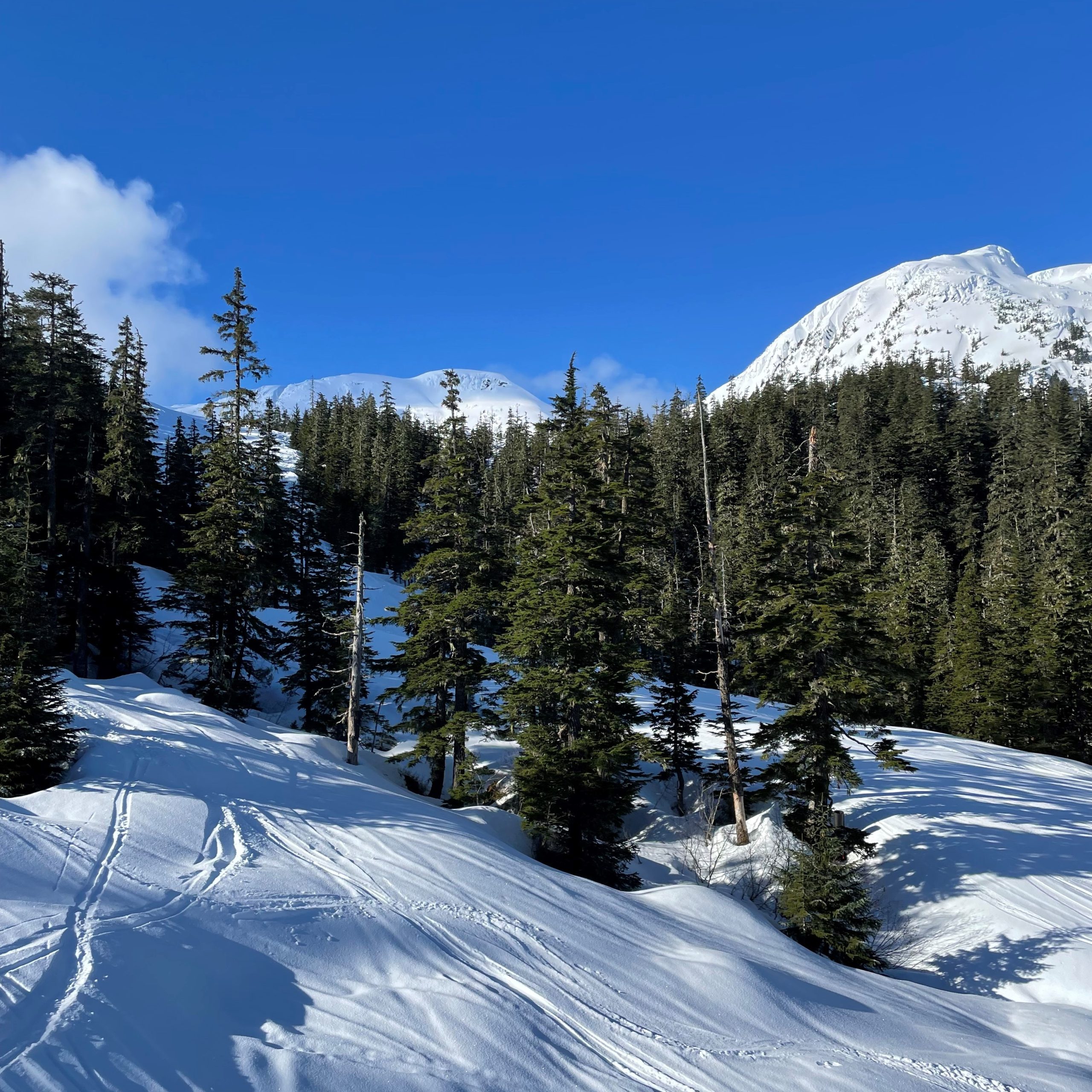 Chairlift Views at Eaglcrest