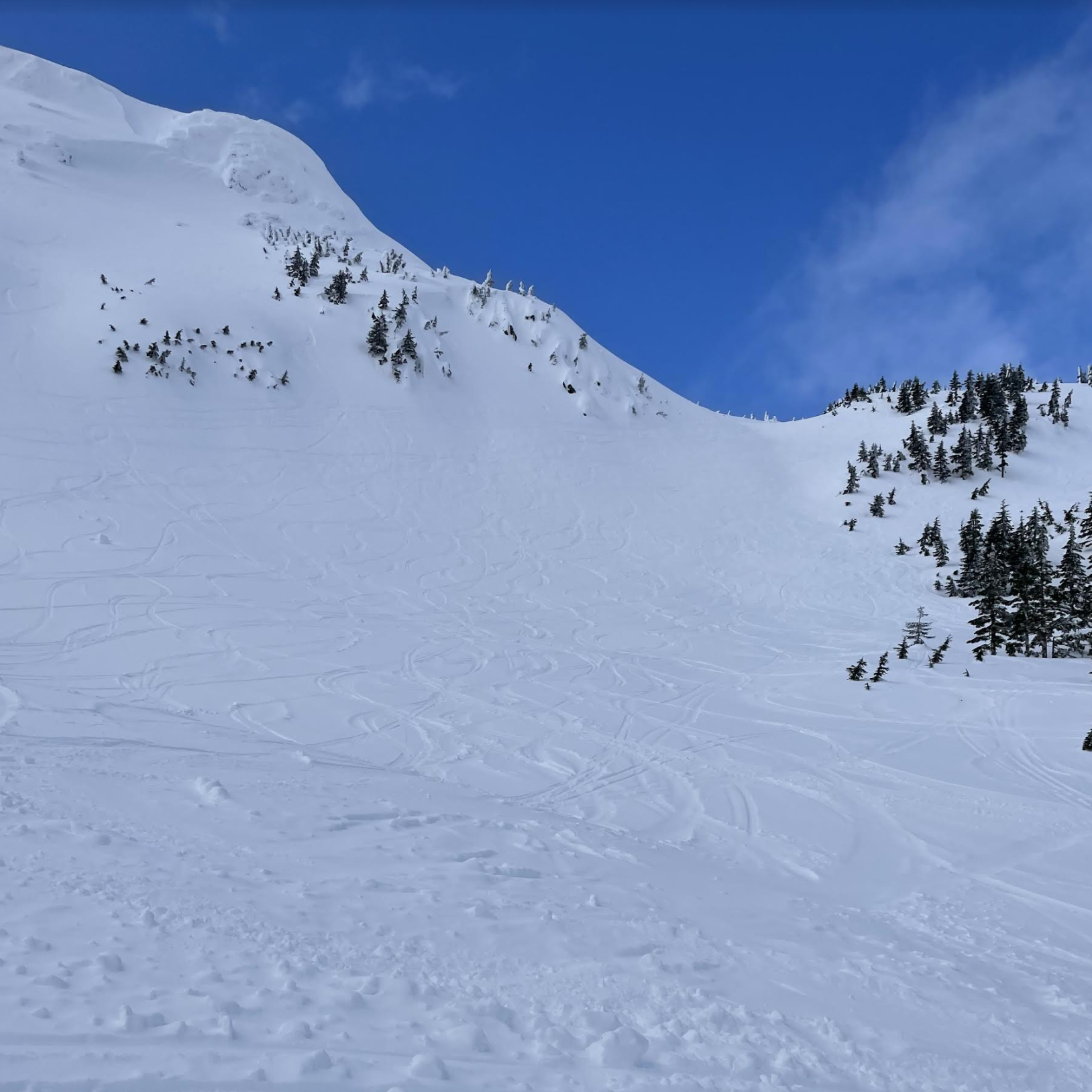 East Bowls at Eaglecrest Ski Area