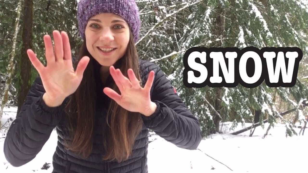 sign language,