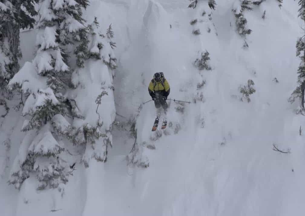 whistler,