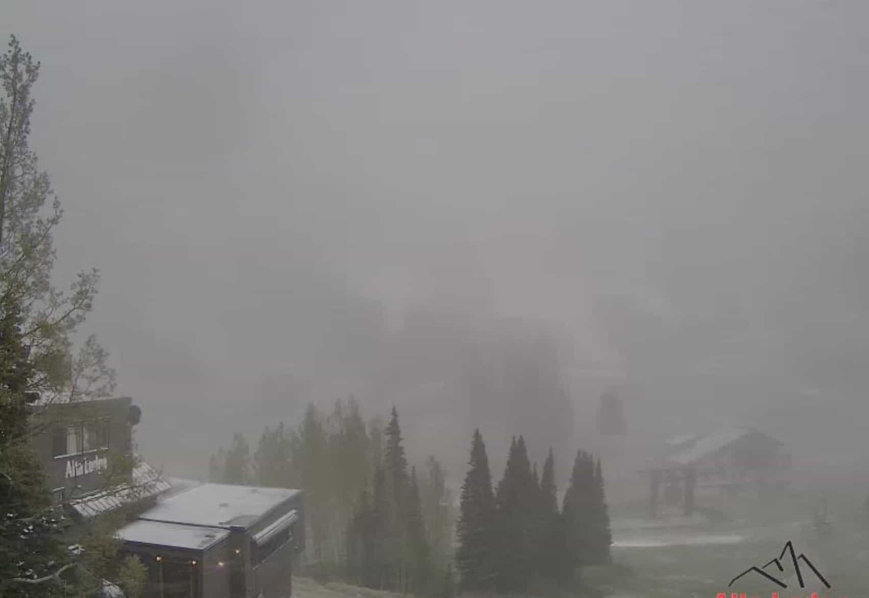 alta, snow utah, 