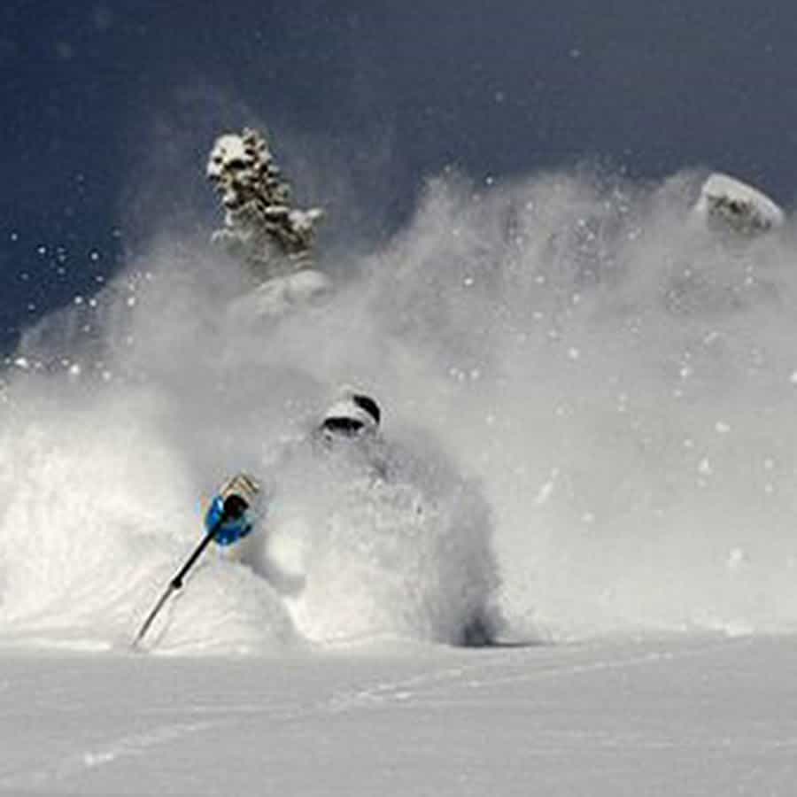 alta, the daily pow, Memorial Day
