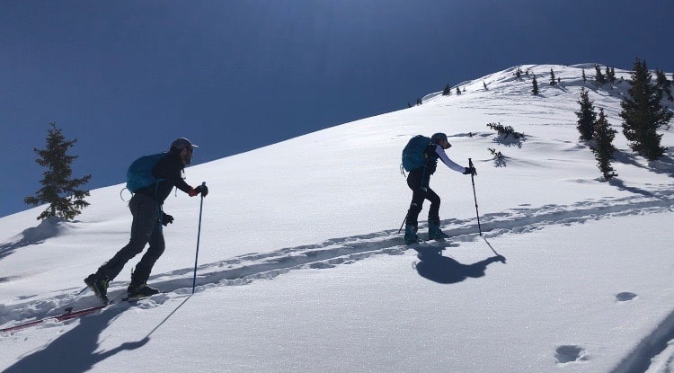 skinning