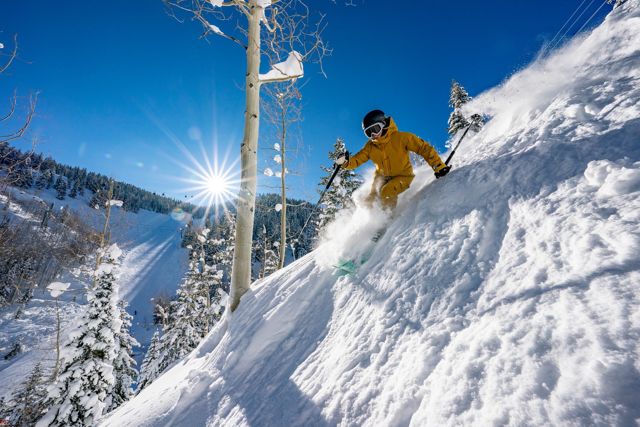 Skier off piste Aspen