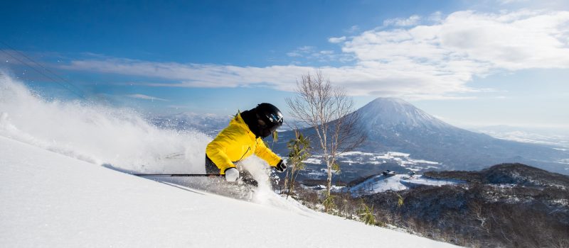 Powder Skier Niseko