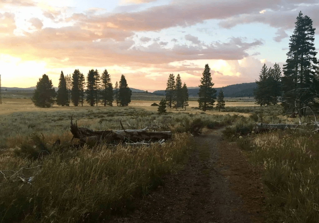 Sunset on Martis Valley Trail