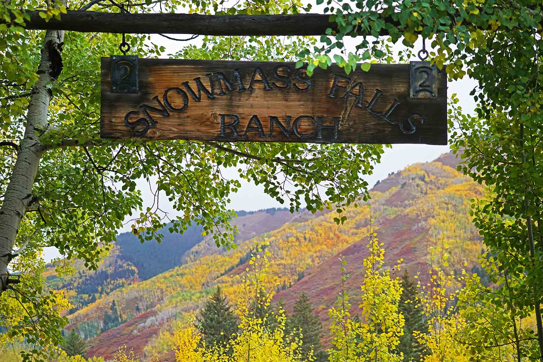 aspen, for sale
