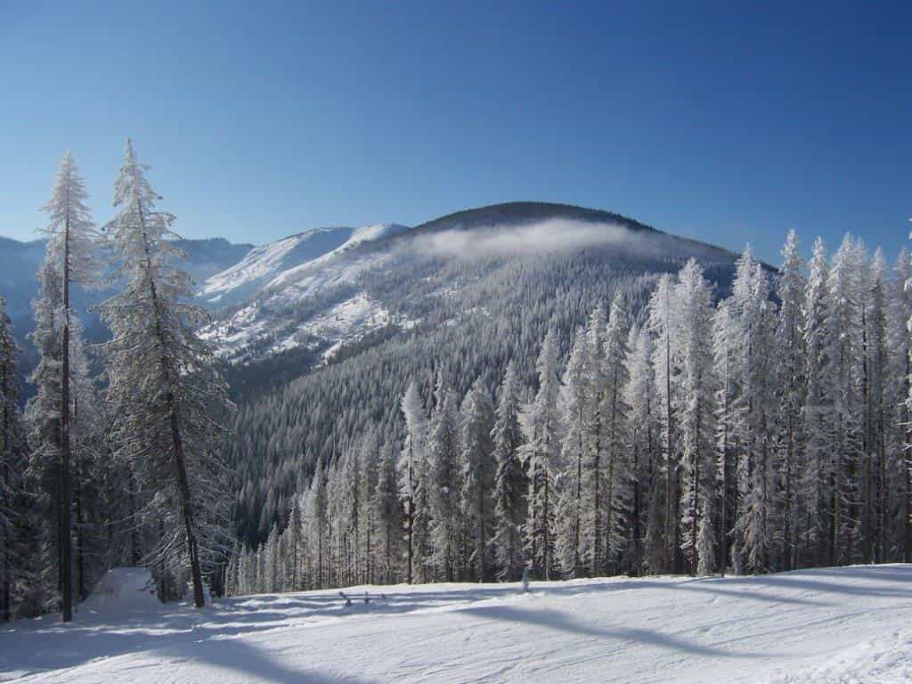 lookout pass, 