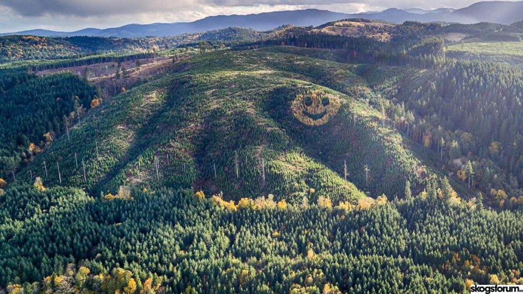 drone trees