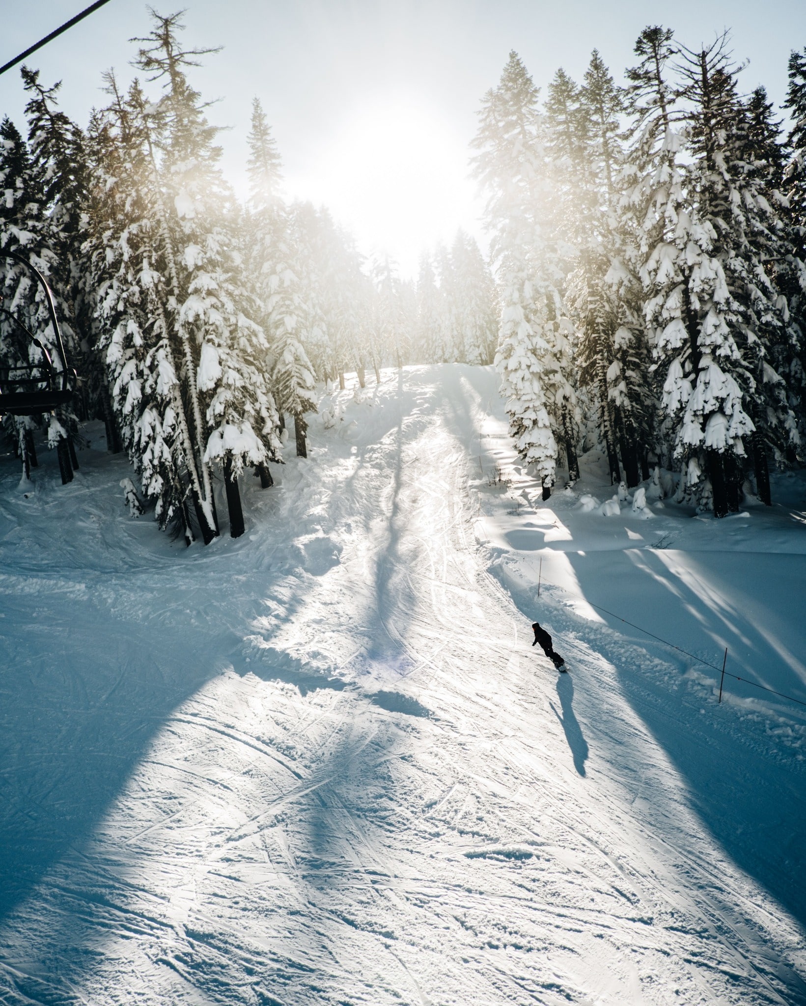 Snow and tree skiing at Boreal