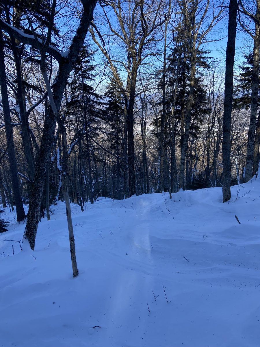 Somewhat secret tree run at Stratton