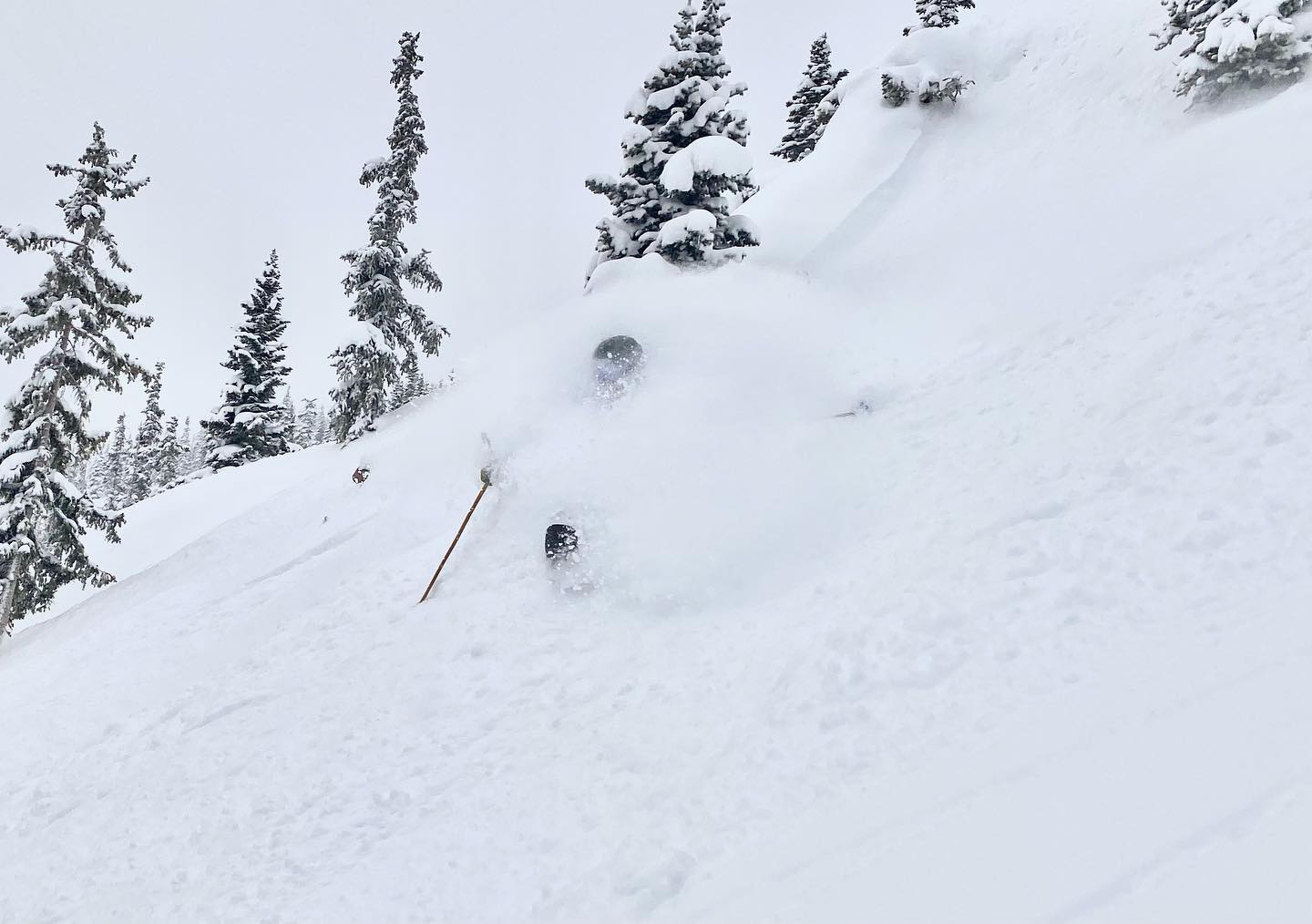 Powder Skiing Monarch