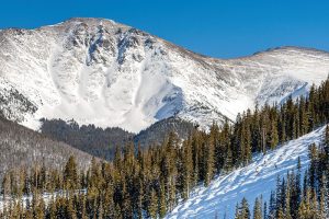 Winter Park Skyline