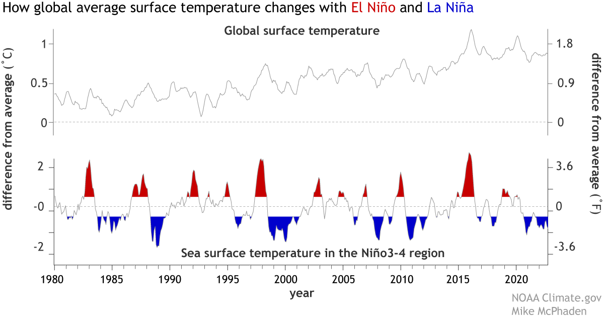 la niña