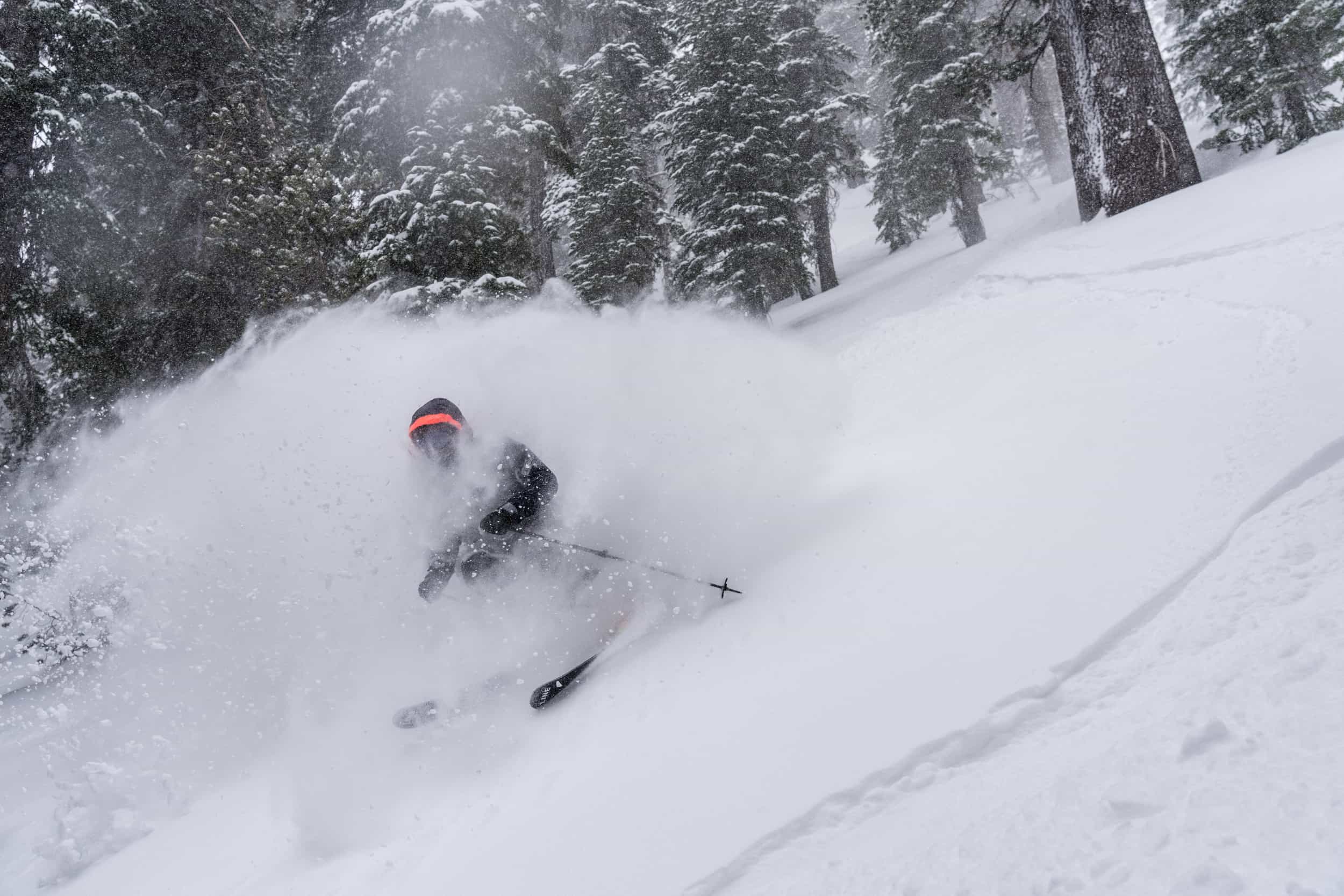 mammoth