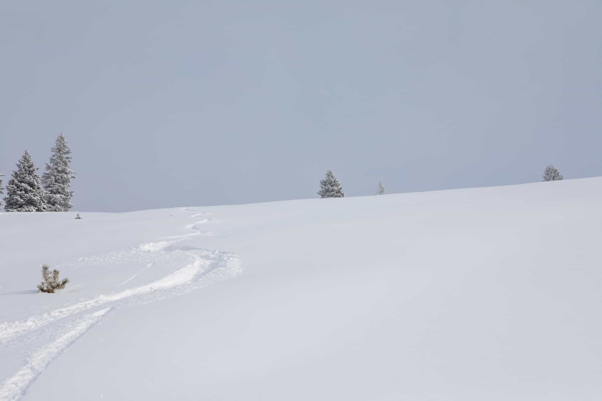 vail mountain, colorado, back bowls
