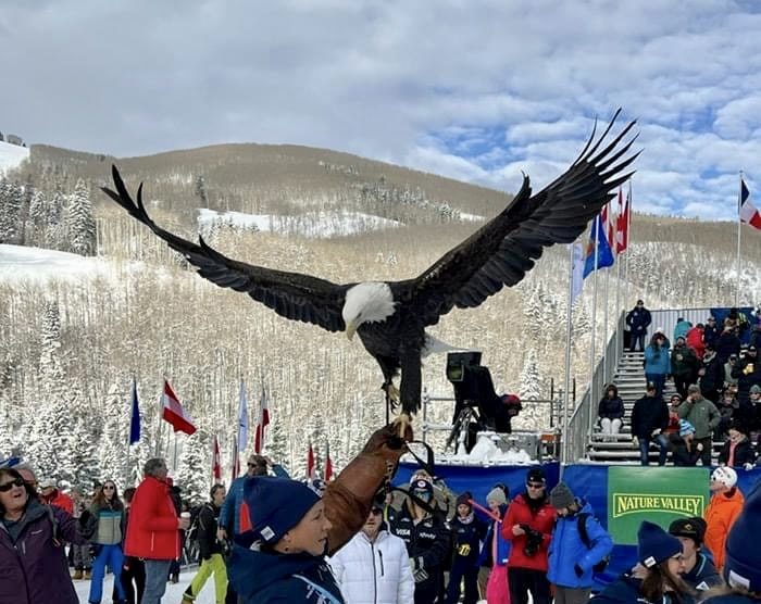 Birds of Prey