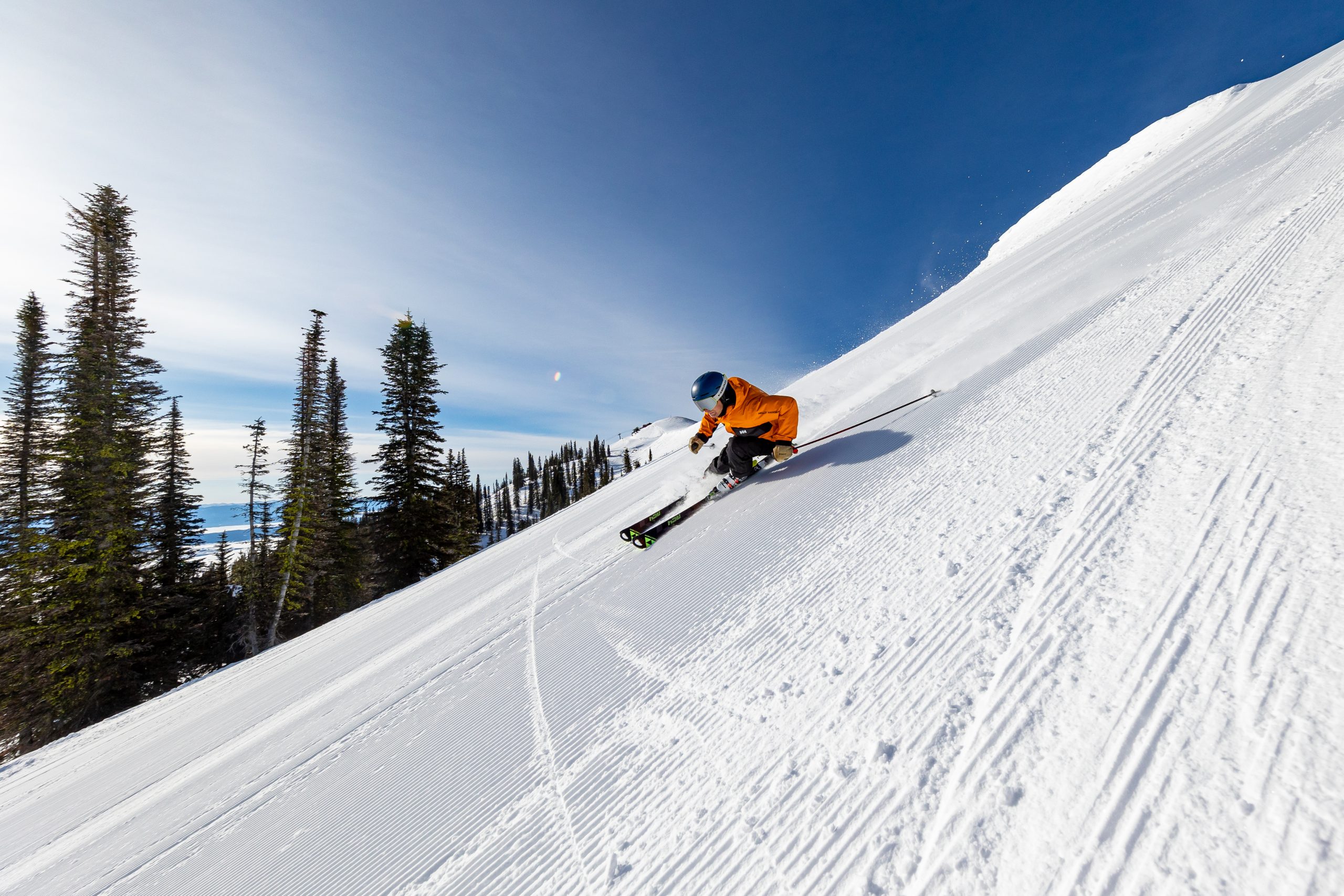 Tamarack