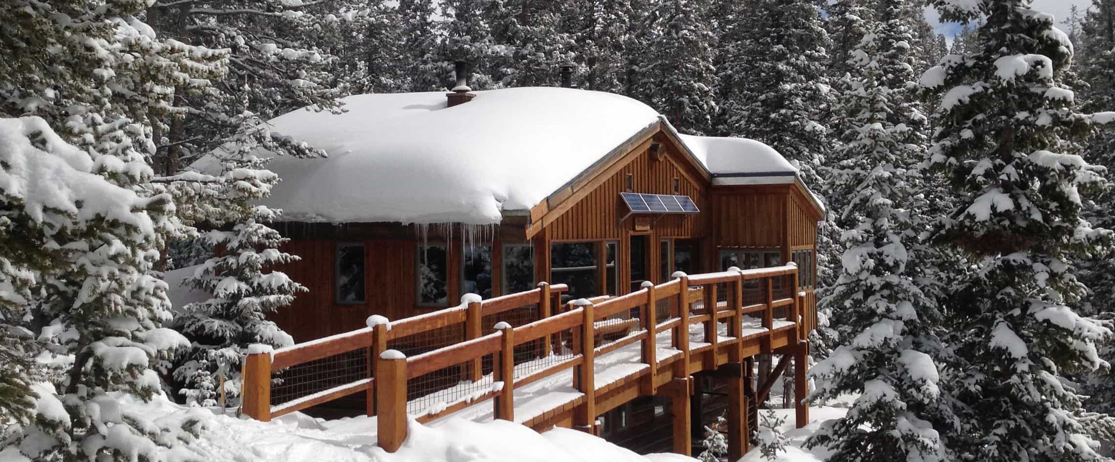 Betty bear, backcountry hut,