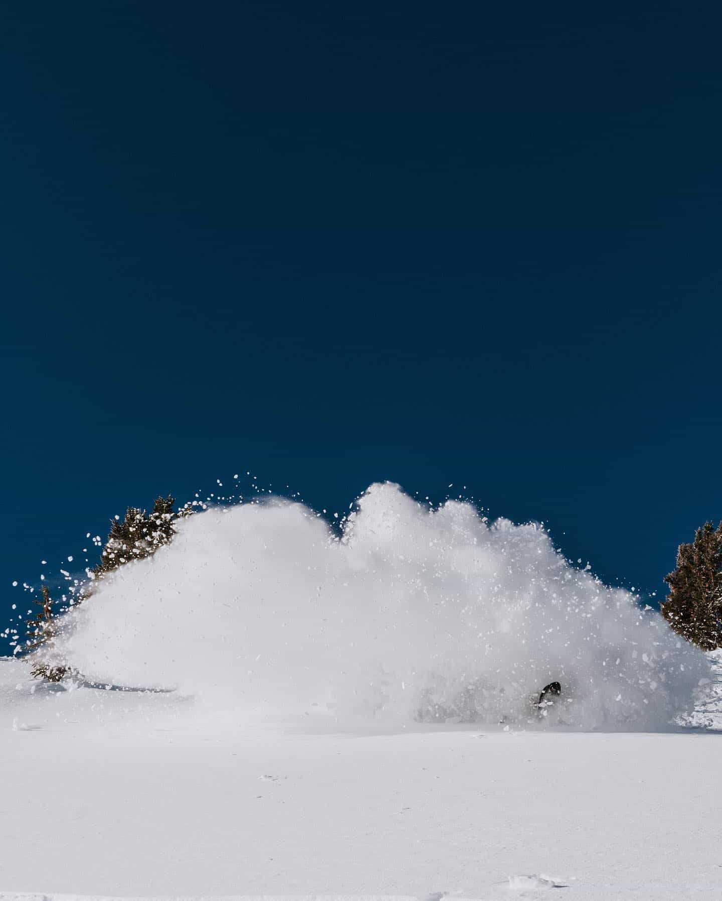 mammoth, 500"