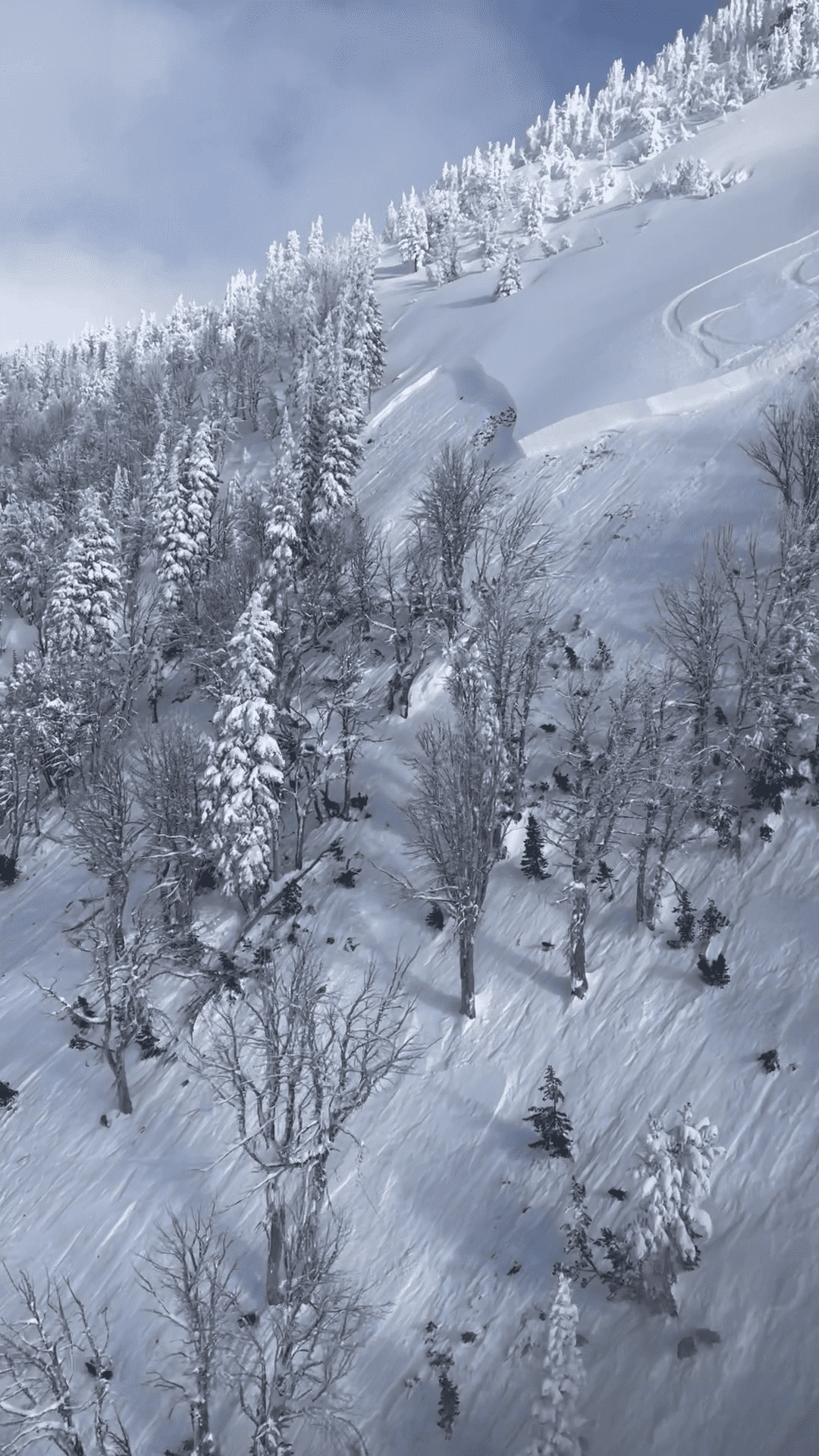 avalanche