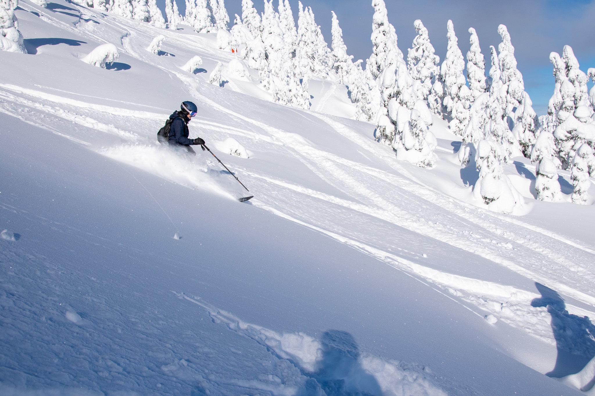 Powder Alaska