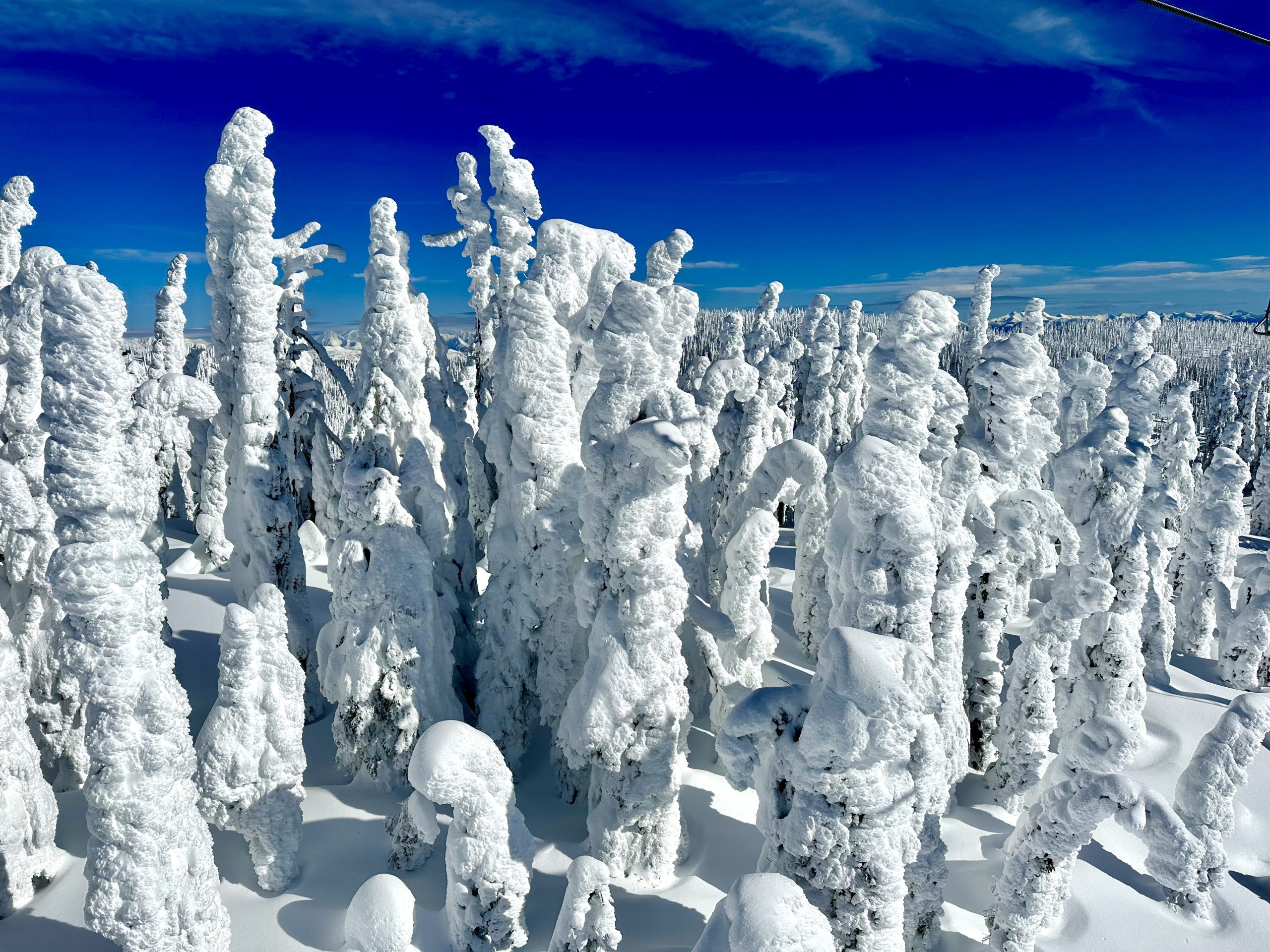 snow ghosts