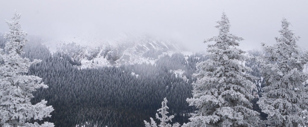 Taos