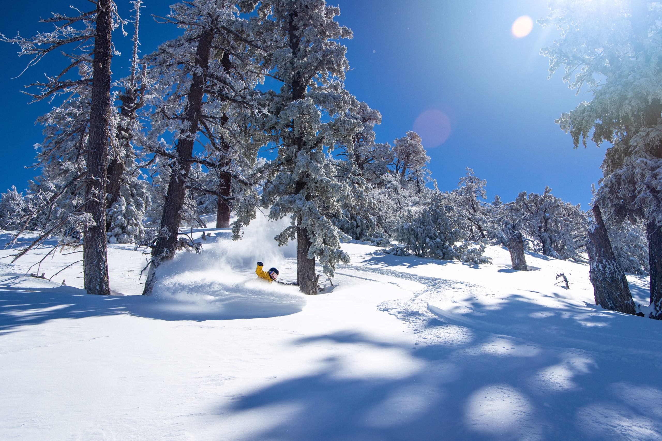 Big Bear Mountain Resort