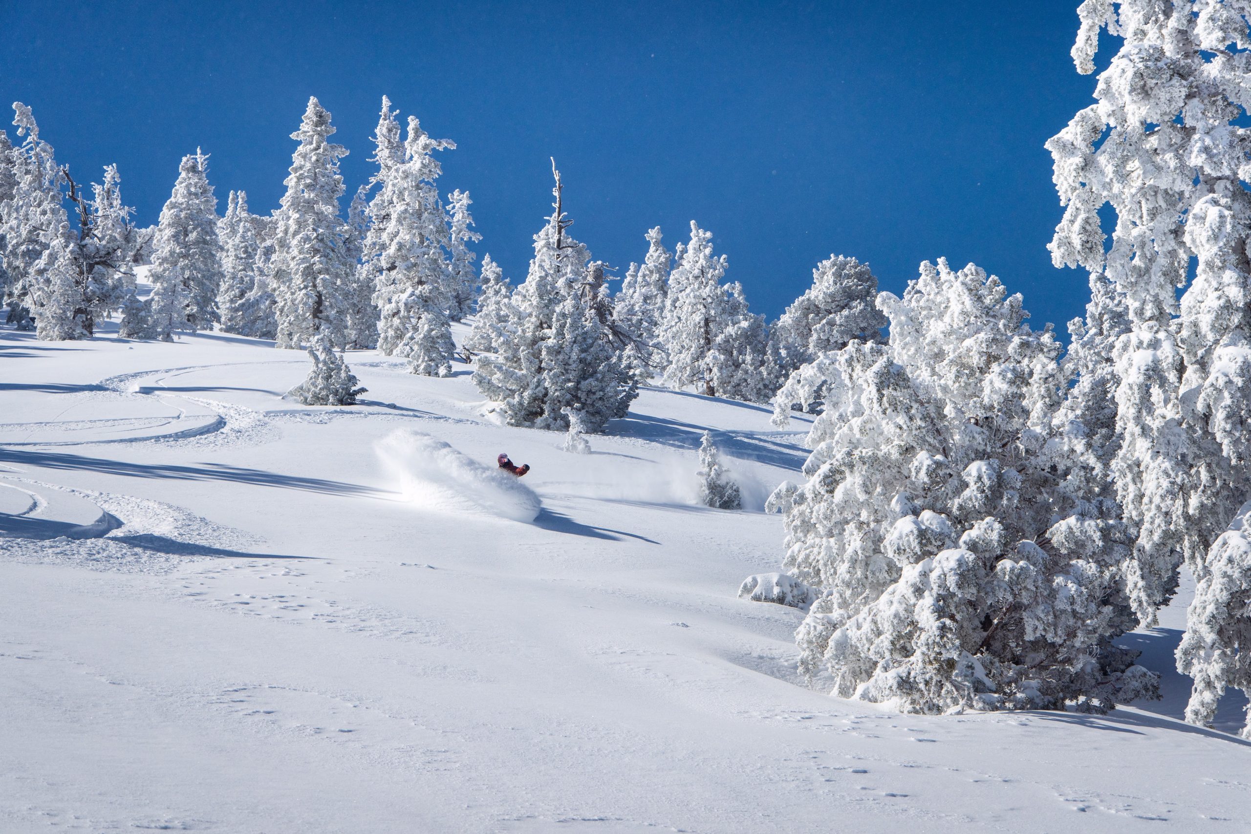 Big Bear Mountain Resort