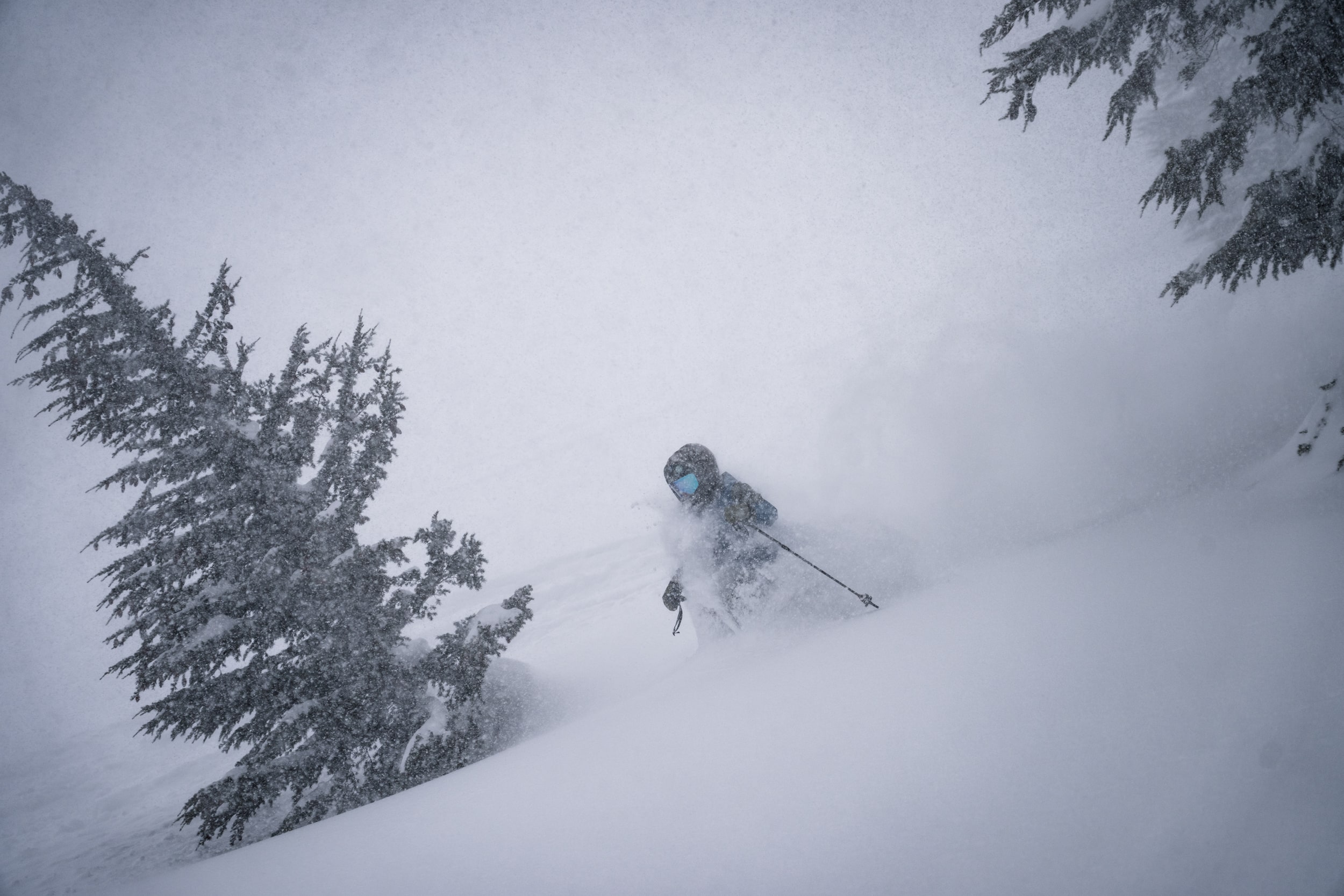 Powder Mountain Mammoth