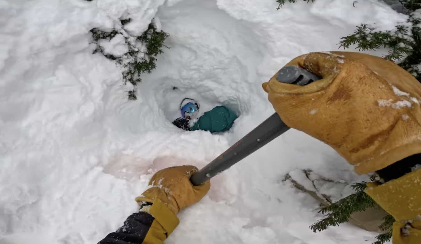 tree well, rescue, mount baker,